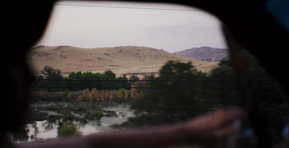 Gazing out a car window at the passing marshland and golden hills during a tranquil country road trip