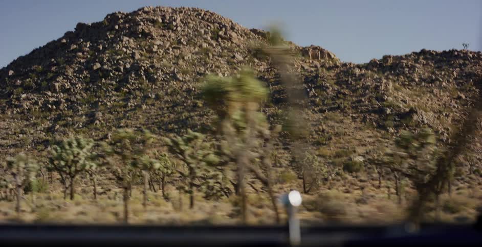 The rocky desert landscape with Joshua trees speeds by as seen from the window of a moving car