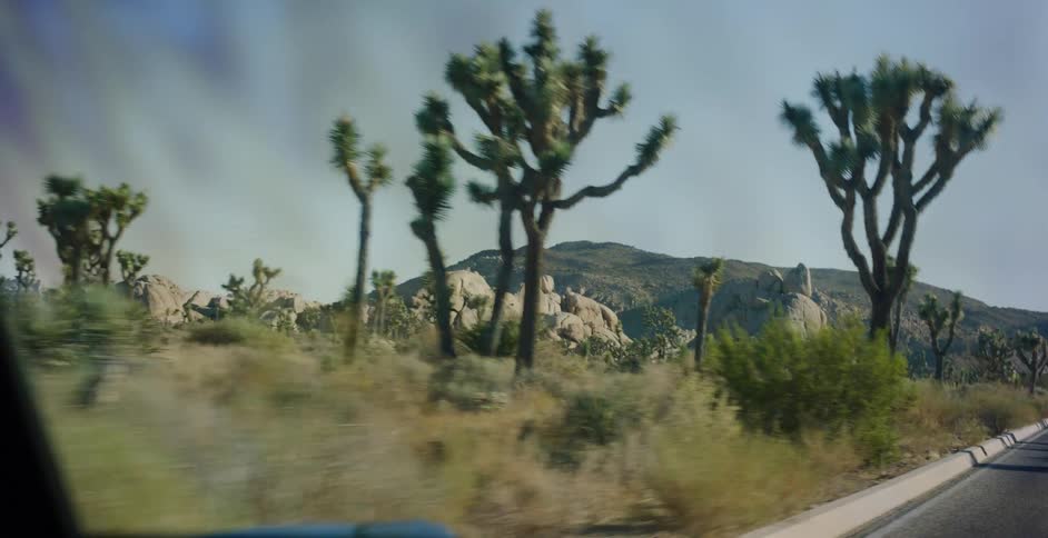 A scenic drive from inside a car through the beautiful Joshua Tree National Park