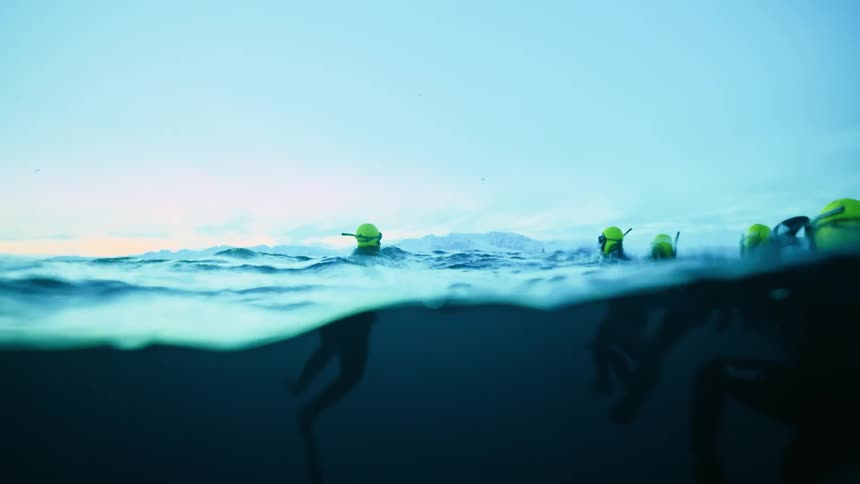 An over-under, slow-motion view shows a group of snorkelers in wetsuits floating together in the cold, deep blue ocean