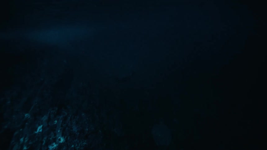 A mysterious shark silhouette swims slowly through the dark, murky depths of the ocean