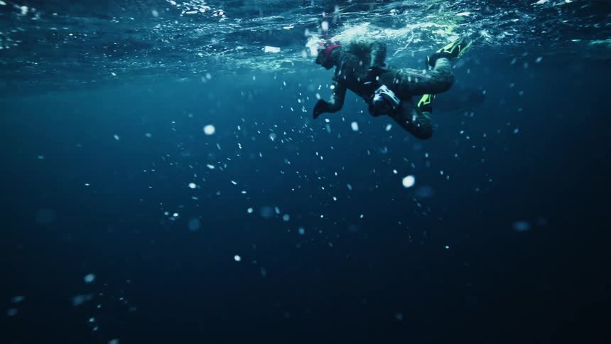 Slow motion underwater view of a free-diver swimming alongside a pod of dolphins in the deep blue sea