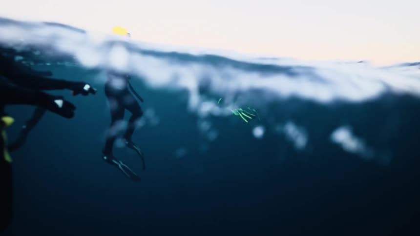 A group of free divers in wetsuits rest at the surface of the deep blue ocean as seen from below in slow motion