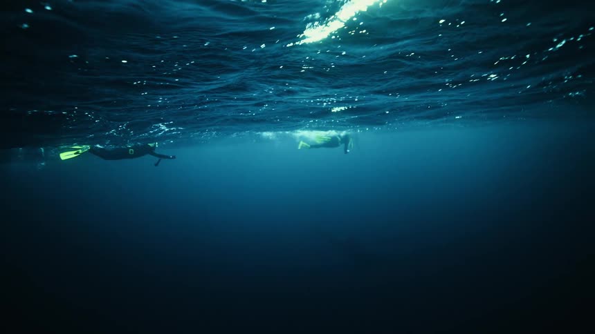 An underwater shot shows two snorkelers on the surface as a massive whale glides gracefully below them in the deep blue ocean