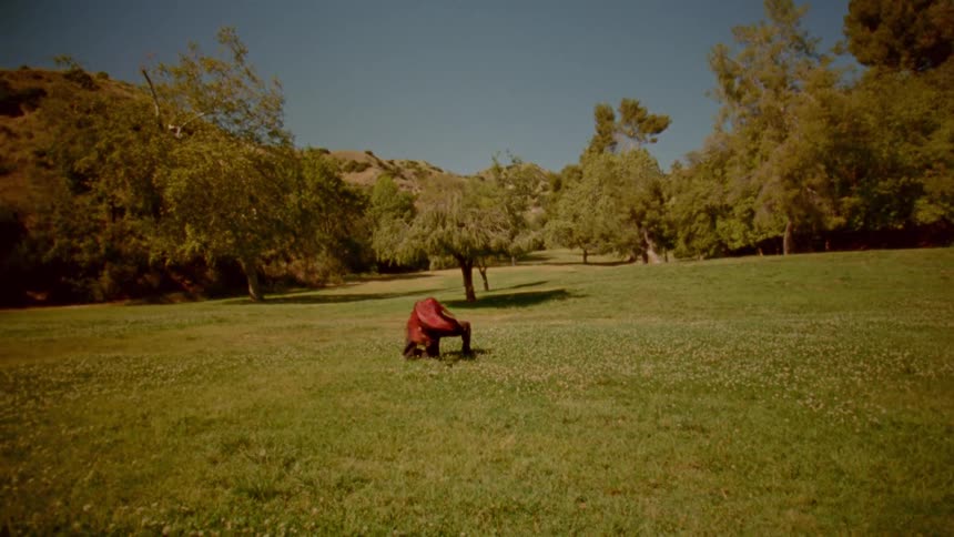 A lone martial artist practices a slow and graceful sword kata in a vast, sun-drenched meadow