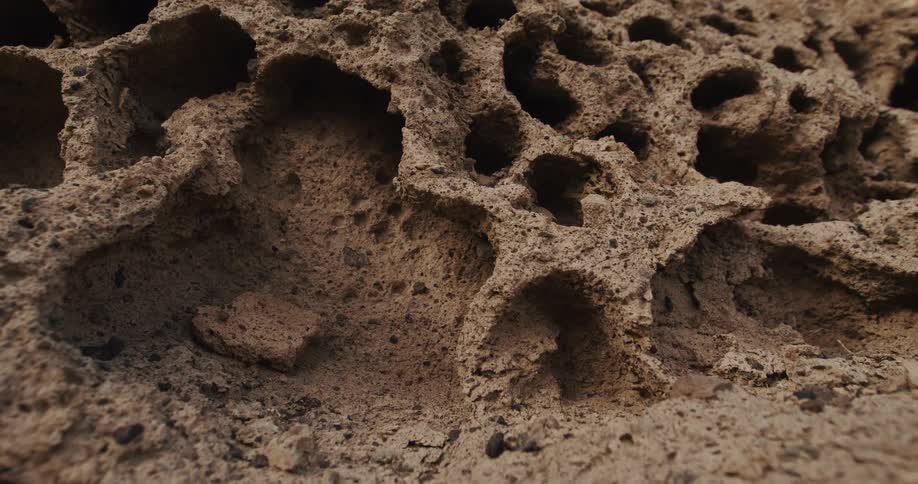 A detailed close-up shot of the porous, textured surface of a brown volcanic rock