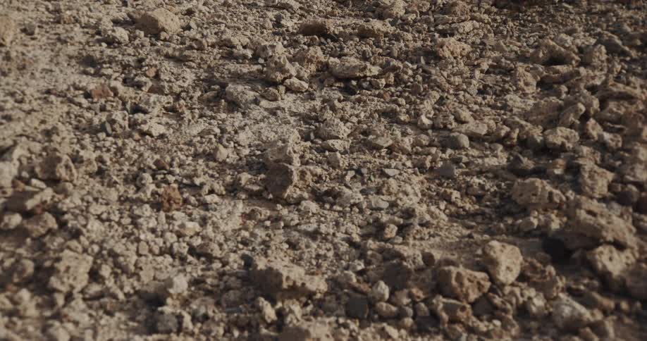 A detailed close-up dolly shot moving slowly over a dry, rocky desert floor
