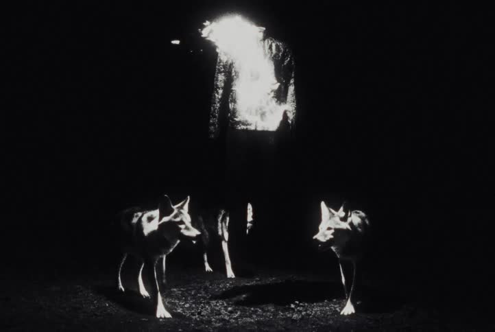 A surreal and eerie black and white scene of a brightly glowing figure standing with a pack of wolves in the darkness