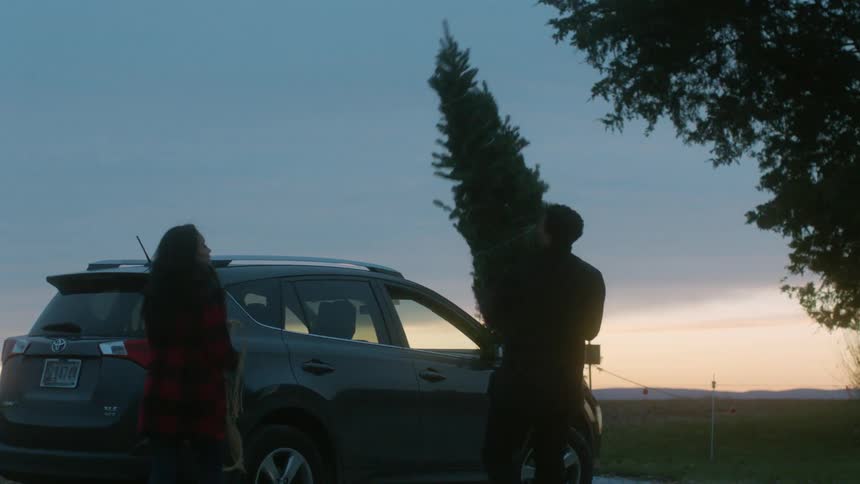 A man loads a cut christmas tree onto the roof of a car