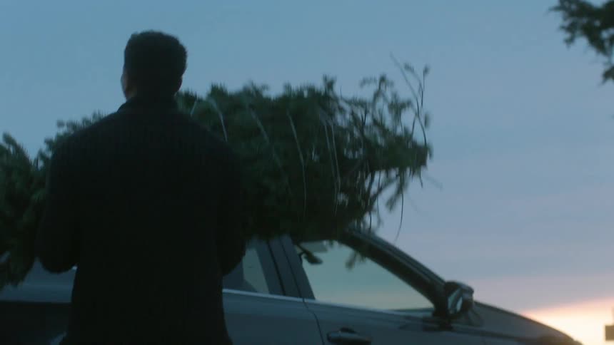 A man and woman carry a christmas tree to a vehicle and place it on the roof
