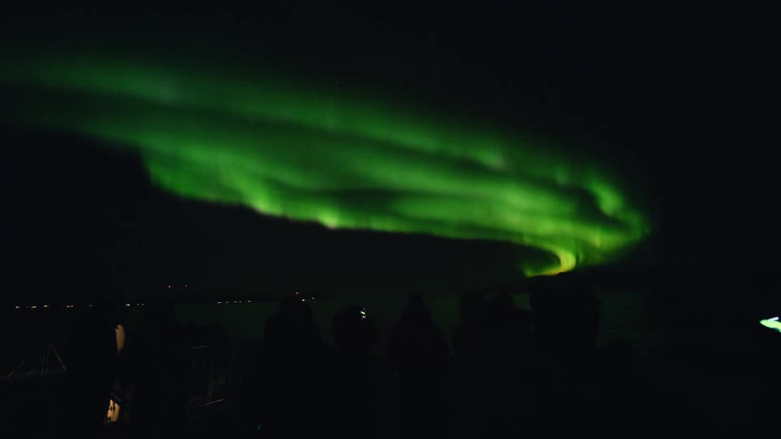 Silhouetted tourists watch in awe as the vibrant green Aurora Borealis dances across the dark night sky from a boat