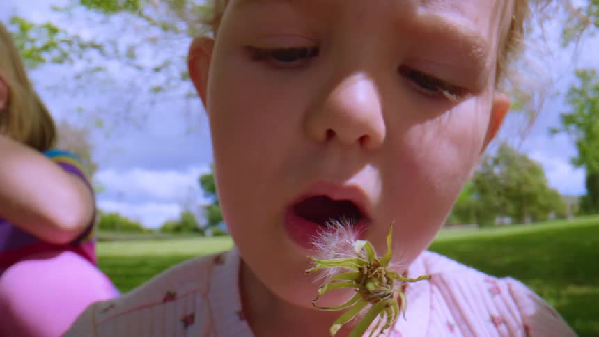 A close-up of a toddler blowing on a dandelion in slow motion in a sunny park