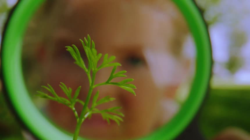 A curious toddler's face comes into focus through a magnifying glass as they examine a tiny green plant outdoors