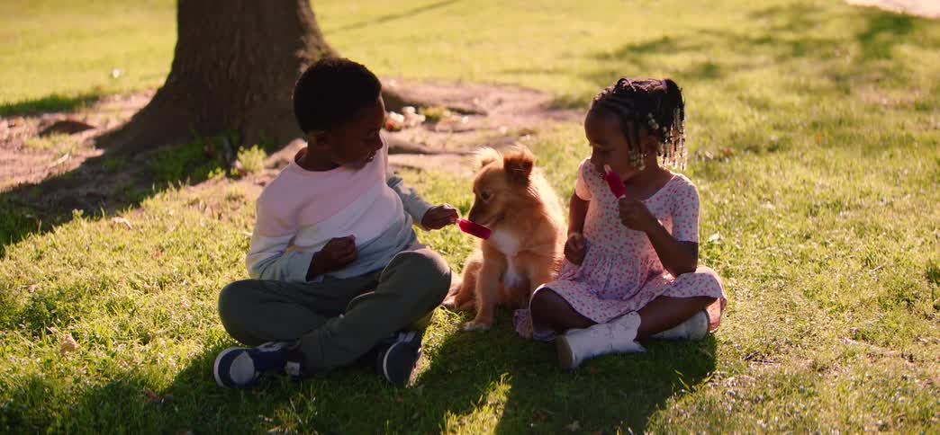 Adorable siblings and their fluffy dog share a sweet popsicle treat while sitting on the grass in a sunny park