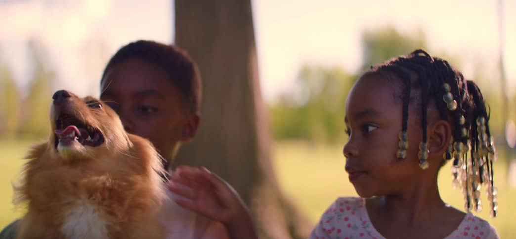 Close up of two young Black children petting their happy dog while sitting in a park