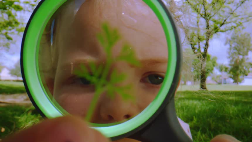 A close-up shot of a curious child looking at a tiny green sprig through a magnifying glass in a park