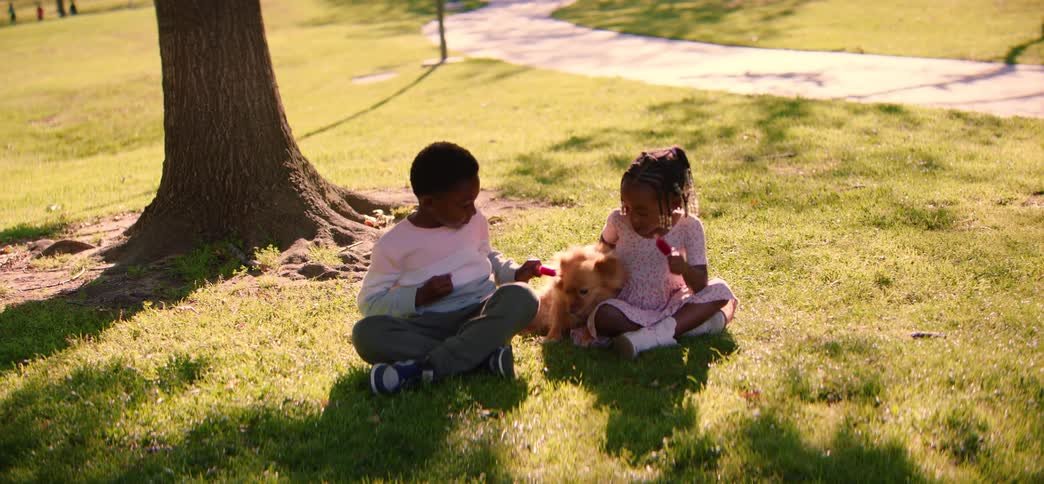 Adorable African American siblings sit in the grass and share a red popsicle with their fluffy Pomeranian dog on a sunny day