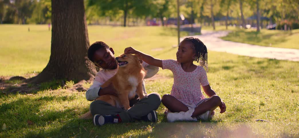 A young brother and sister smile and laugh while sitting in a sunny park petting their fluffy dog