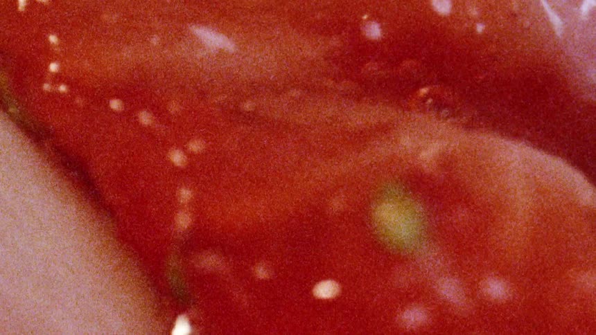 A sensual extreme close-up shot explores the glossy, textured surface of a ripe red strawberry held in fingers