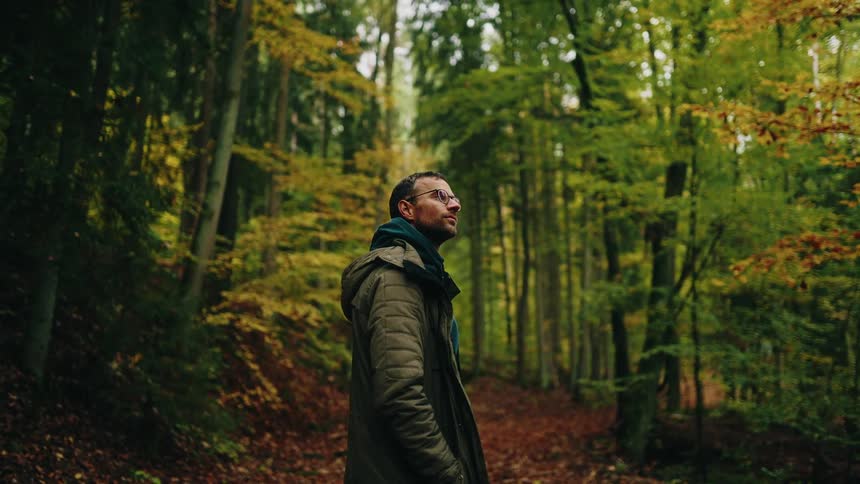 A man wearing a warm jacket stands still in the middle of a beautiful autumn forest, peacefully admiring the tall trees