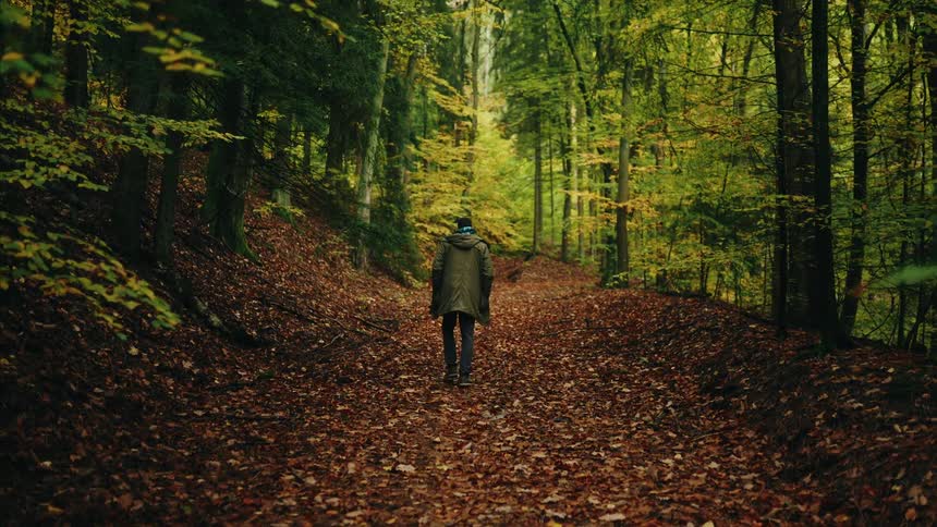 A solitary person wearing a green coat walks down a leaf-strewn path in a colorful, dense autumn forest