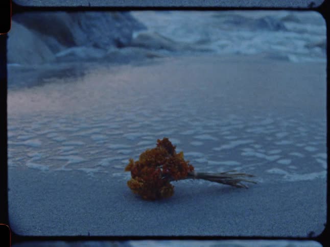 A vintage, melancholic shot of an orange flower bouquet resting on a sandy beach as gentle waves come ashore at dusk