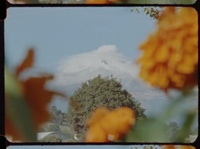 A vintage 16mm film captures the snow-capped Popocatépetl volcano in Mexico releasing a plume of smoke, framed by beautiful marigold flowers