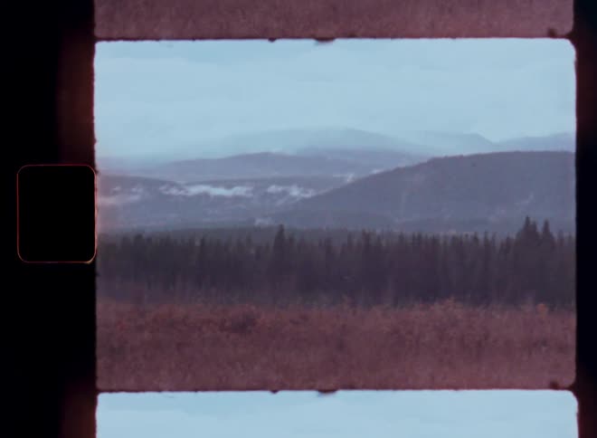 A vintage, Super 8 film view of a vast landscape featuring a dense forest and distant, misty mountains