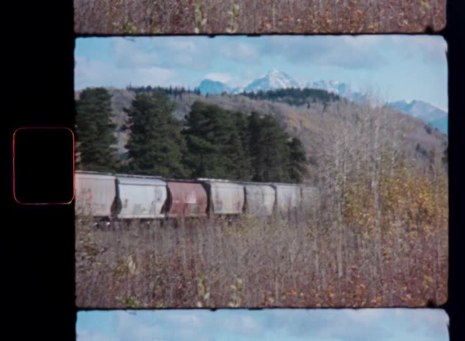 A freight train is seen through autumn brush against a backdrop of a dense forest and snow-capped mountains in this vintage 8mm film scan