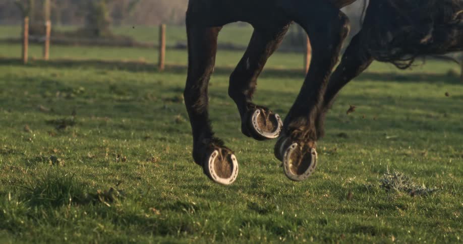 A close-up slow-motion shot of a horse's hooves with horseshoes running across a grassy field