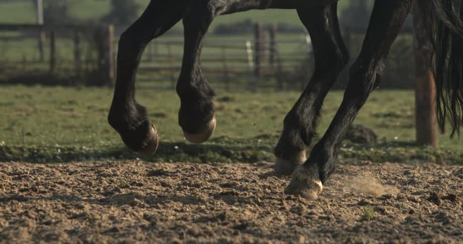 An extreme close-up in slow motion shows the powerful hooves of a black horse as it lands in a sand paddock, kicking up dust