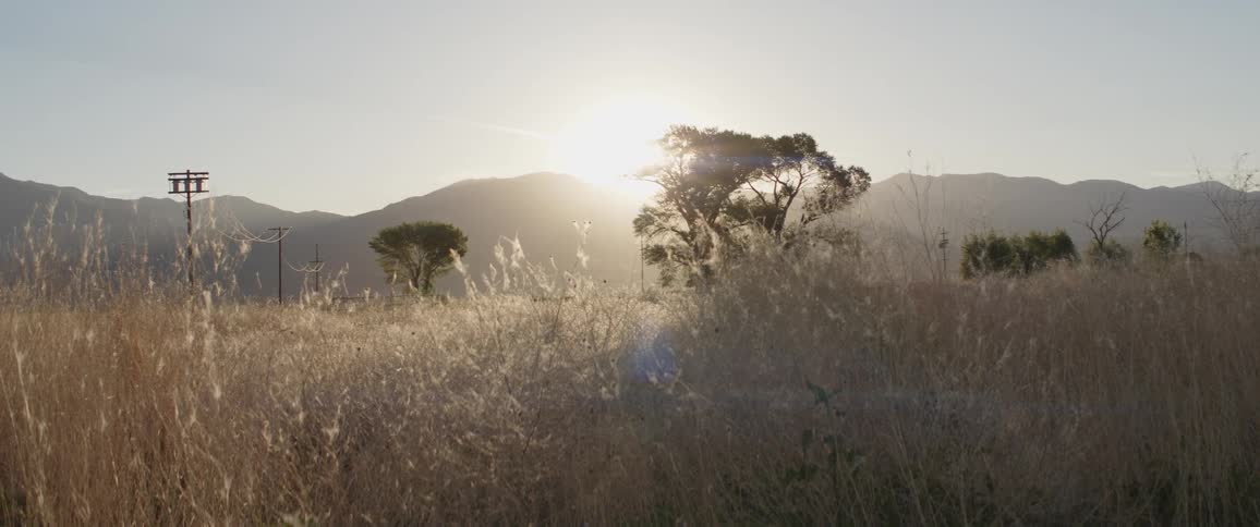Warm sunlight filters through tall, dry grass in a rural field with trees and mountains during a beautiful sunrise