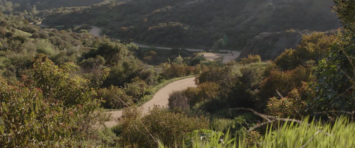 Distant hikers walk along a winding dirt path through a lush, green canyon during golden hour