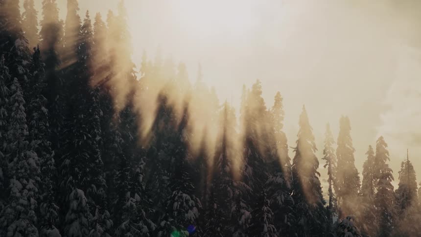 Majestic sun rays illuminate a serene, snow-covered forest as snowflakes drift through the air