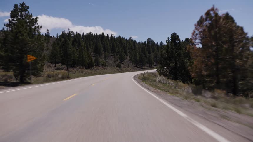 A smooth POV shot driving down a winding rural highway through a pine forest on a sunny day