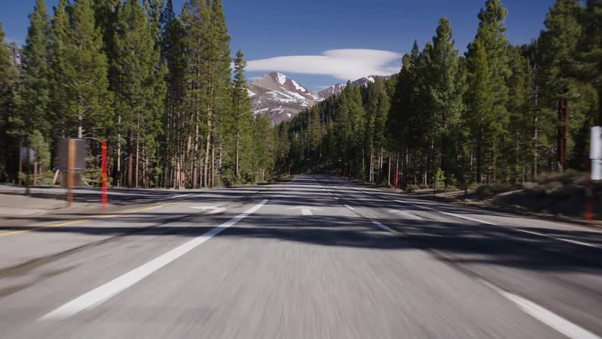 A thrilling point-of-view drive speeds along a winding highway through a pine forest towards beautiful snow-capped mountains