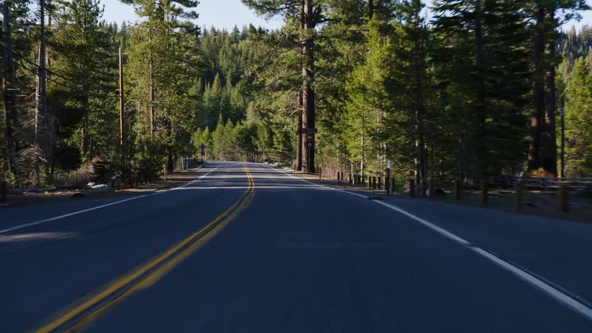 A point-of-view shot driving along a winding mountain road through a sunlit pine forest