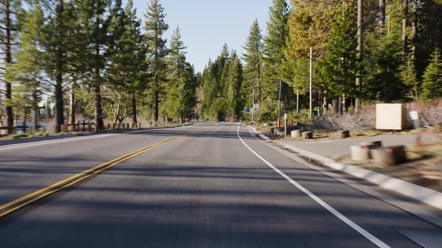 Point-of-view driving on a sunny day along a picturesque lakeside road surrounded by a dense pine forest