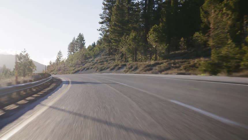 A point-of-view shot driving along a winding two-lane highway through a sunlit pine forest in the mountains