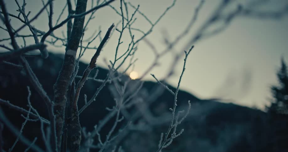 A close-up rack focus shot of frosty tree branches reveals the setting sun over a dark winter mountain