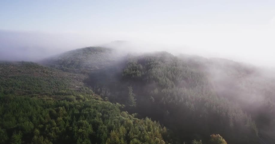 Clouds hover over tree-covered mountains