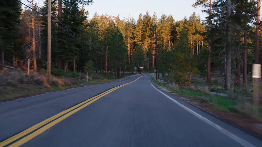 POV driving on a winding road through a sunlit pine forest with mountains in the distance at golden hour
