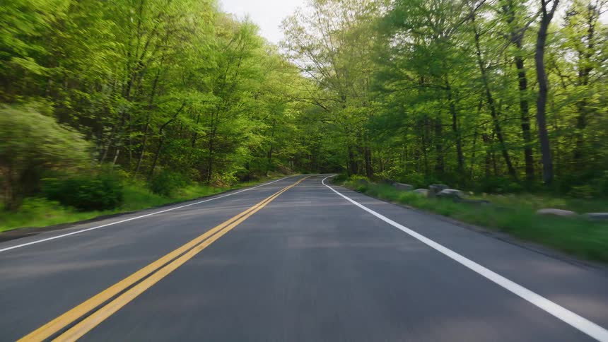 A serene point-of-view journey down a country road surrounded by the vibrant green canopy of a sunlit springtime forest