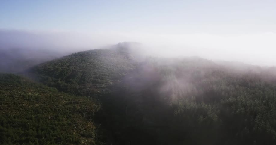 Clouds hover over a forest in the mountains