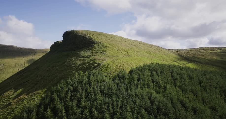 A tall green hill has heavy trees below
