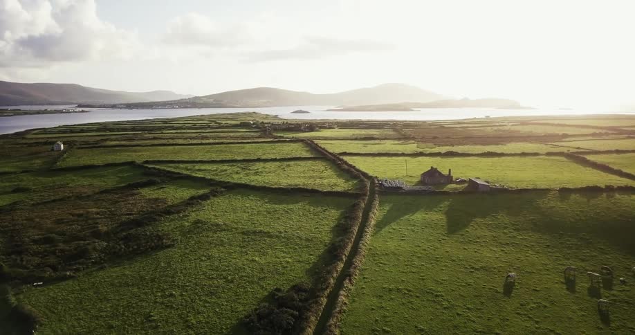 The green pastures have heavy sun over them