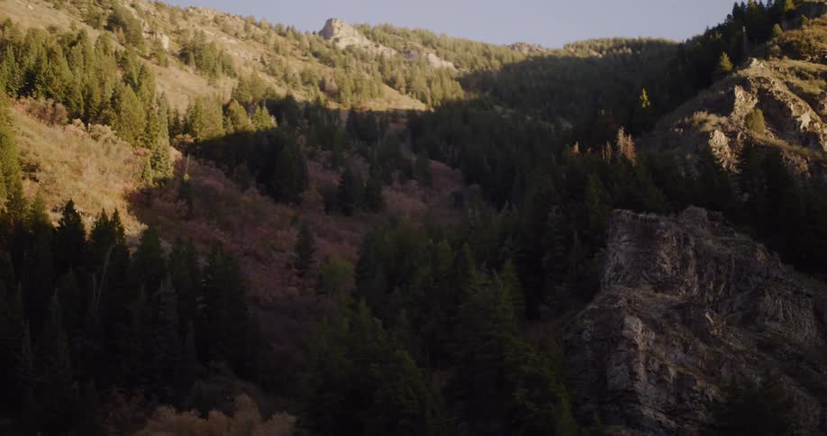Golden hour sunlight illuminates a rocky, tree-covered mountainside in a slow panning shot
