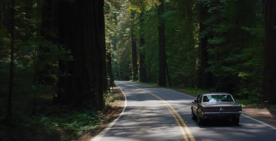 A classic silver Mustang cruises down a sun-dappled scenic highway through a majestic redwood forest