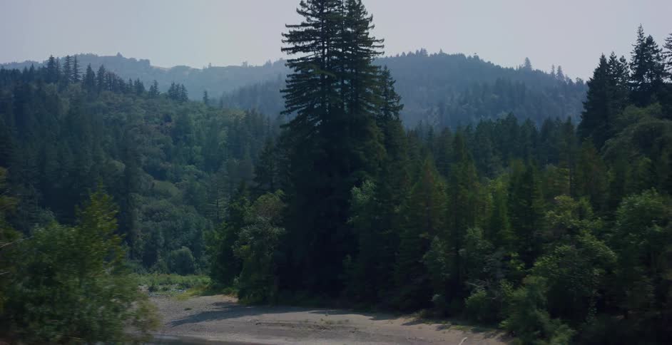 A tracking shot reveals a wide river valley surrounded by a vast, hazy forest of evergreen trees