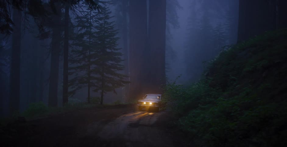 A classic car's headlights pierce the dense fog as it drives slowly through a mysterious, dark redwood forest at night